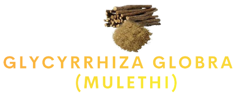 Glycyrrhiza Globra (Mulethi)